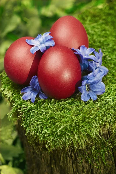 Hermosos huevos rojos de Pascua — Foto de Stock