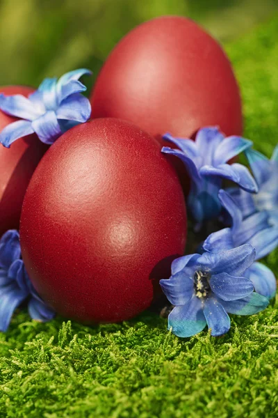 Belos ovos de Páscoa vermelhos — Fotografia de Stock
