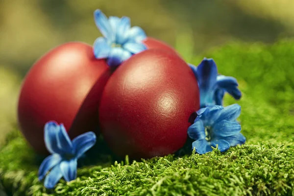 Beautiful red Easter eggs — Stock Photo, Image