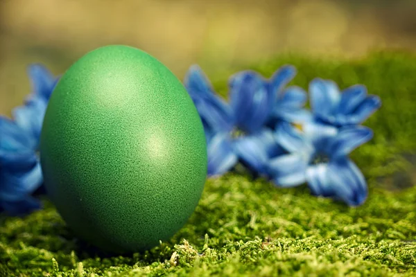 Beautiful green Easter egg — Stock Photo, Image
