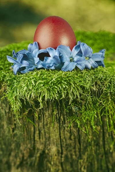 Beautiful red Easter egg — Stock Photo, Image