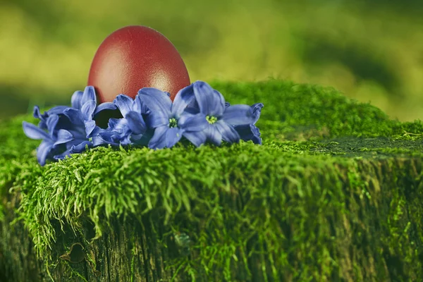 Belo ovo de Páscoa vermelho — Fotografia de Stock