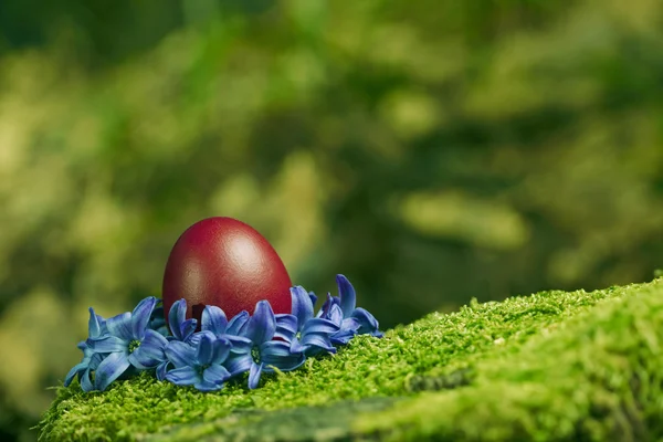 Beautiful red Easter egg — Stock Photo, Image
