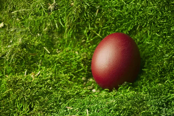 美丽的红色复活节彩蛋 — 图库照片