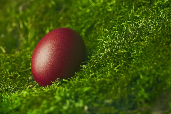 美丽的红色复活节彩蛋 — 图库照片