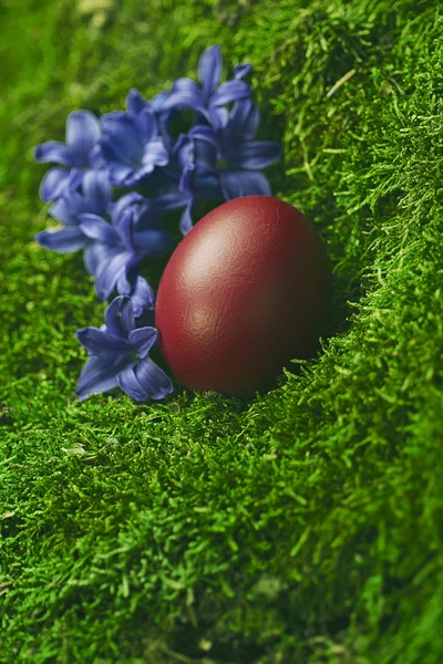 Hermoso huevo de Pascua rojo — Foto de Stock