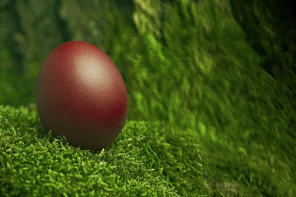 Hermoso huevo de Pascua rojo — Foto de Stock