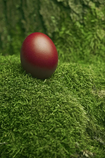 Krásné červené velikonoční vajíčko — Stock fotografie