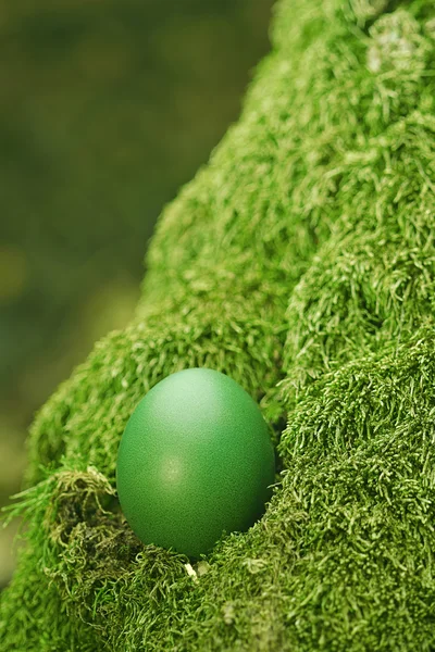 Beautiful green Easter egg — Stock Photo, Image