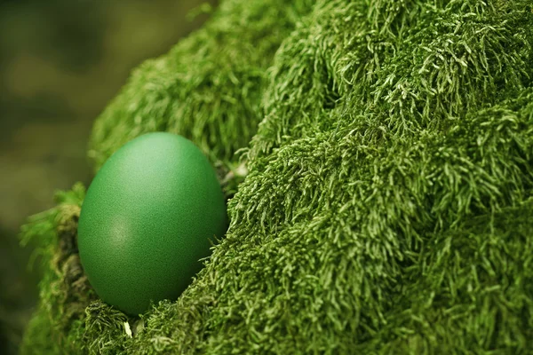 美丽的绿色复活节彩蛋 — 图库照片