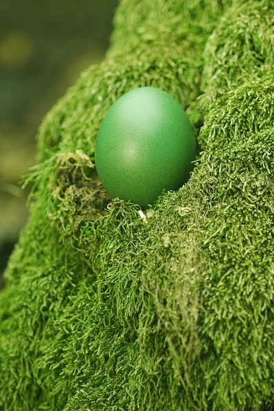 Hermoso huevo de Pascua verde — Foto de Stock