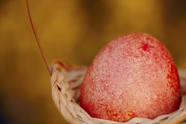 Küçük bir sepet içinde Paskalya yortusu yumurta — Stok fotoğraf
