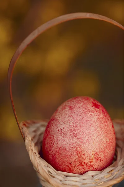 Velikonoční vajíčko v malé koše — Stock fotografie