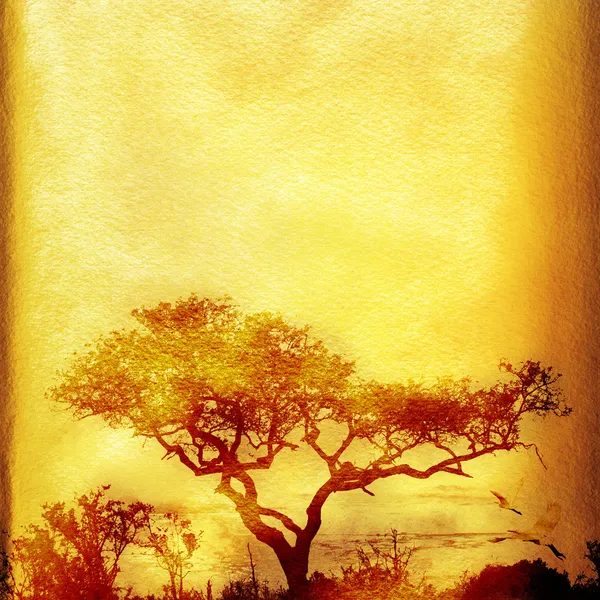 Grunge African background with tree. — Stock Photo, Image
