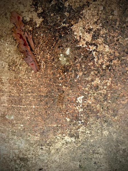 グランジ テクスチャの古い床 — ストック写真