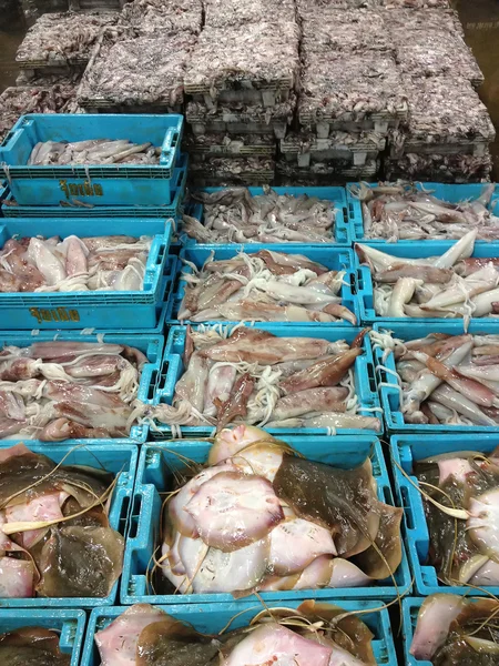 ปลาหมึกสด — ภาพถ่ายสต็อก