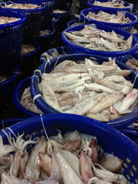 ปลาหมึกสดในตะกร้า — ภาพถ่ายสต็อก