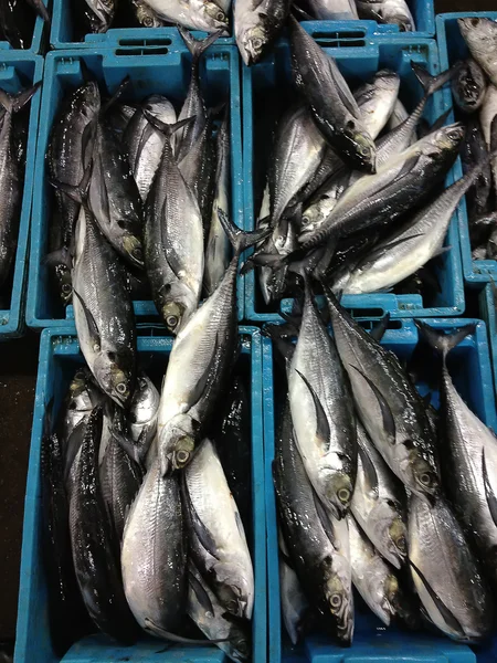 ボックスで新鮮な海の魚 — ストック写真