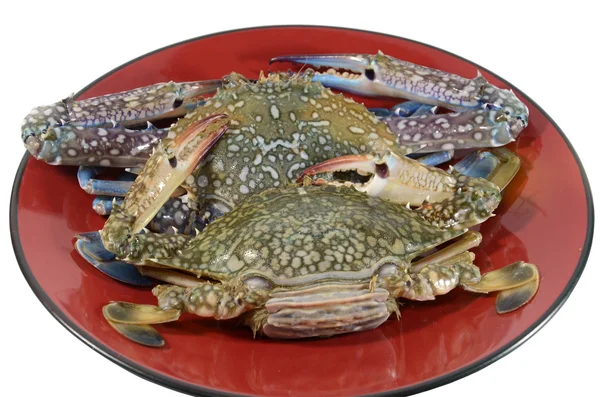 Crab on red dish Closeup — Stock Photo, Image