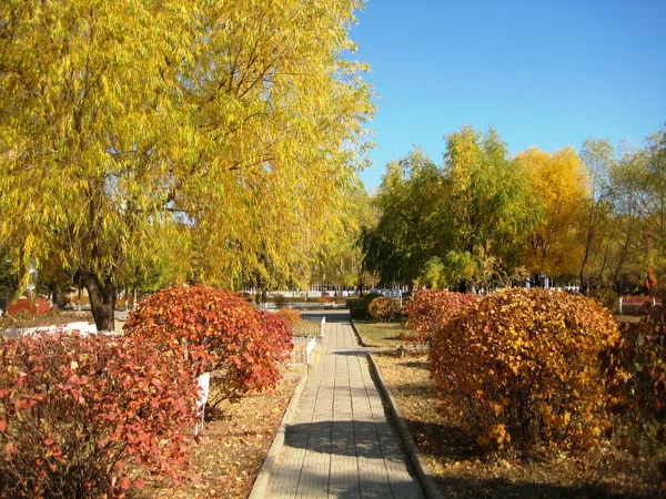 Leuchtende Farben des Herbstparks — Stockfoto