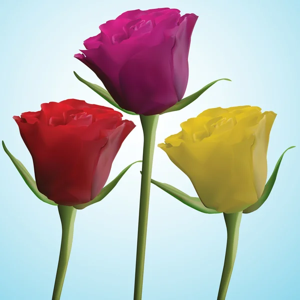红色、 粉红色和黄色玫瑰 — 图库矢量图片