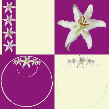 Lily flower border selection clipart