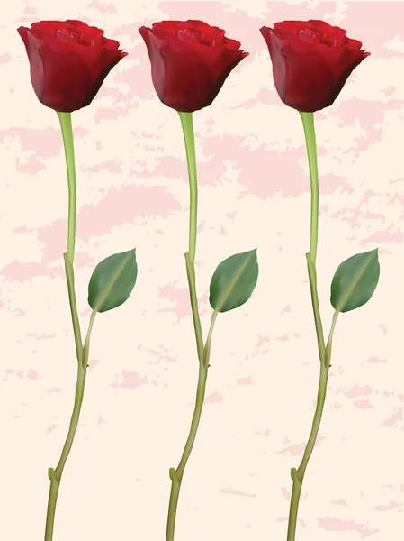 Одинарні червоні троянди на засмученому тлі — стоковий вектор