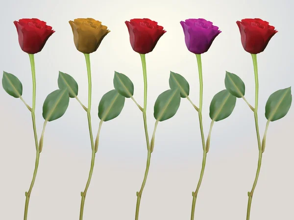 Червоно-рожеві жовті стовбурові троянди — стоковий вектор