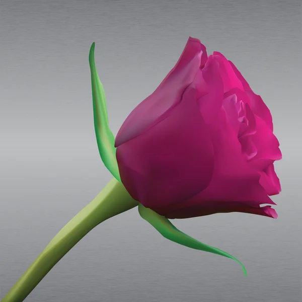 金属背景上红玫瑰 — 图库矢量图片