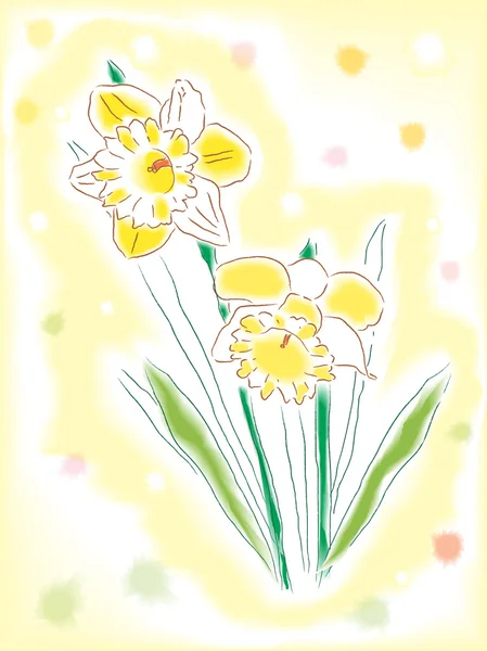 Watercolor daffodils — Stock Vector