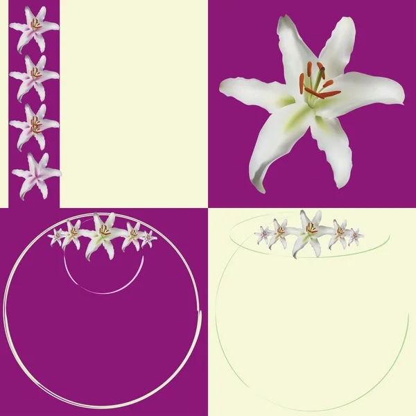 Liliom virág szegély kiválasztása Vektor Grafikák