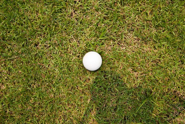 Golf bold på det grønne græs - Stock-foto