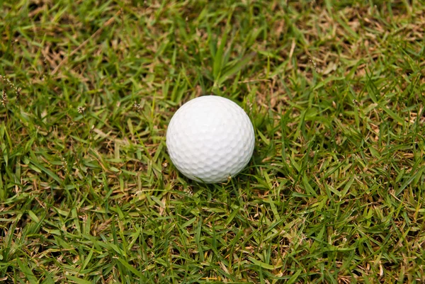 Golf labda a zöld füvön — Stock Fotó