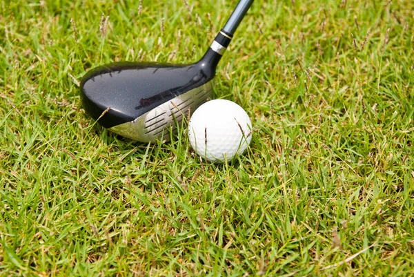 Golf topu ve golf sopasıyla yeşil çimen — Stok fotoğraf