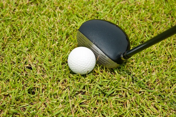 Bola de golf y club de golf con césped verde —  Fotos de Stock