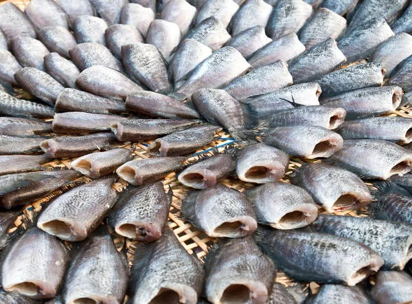 Pescado Gourami seco —  Fotos de Stock