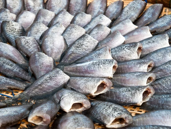 干しグーラミ魚 — ストック写真