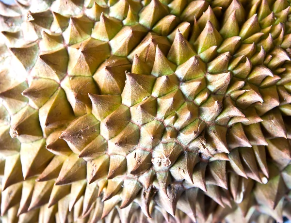 Закрыть дуриана, короля фруктов — стоковое фото