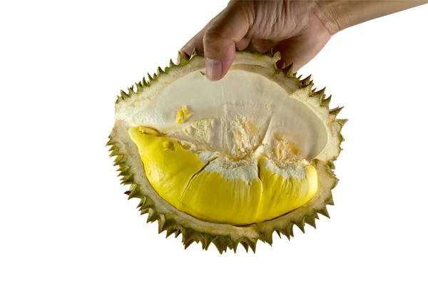 Ręka trzyma durian, król owoców ze ścieżką przycinającą. — Zdjęcie stockowe