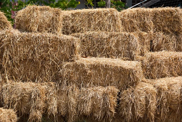 stock image Straw in farm