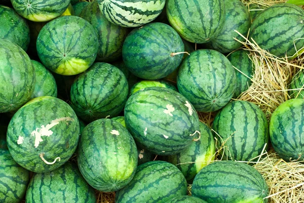 Heap of watermelons — Stock Photo, Image