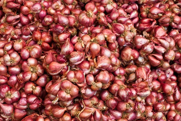 stock image Fresh shallots stacked on a market