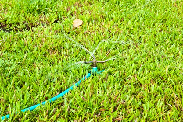 Irrigatore irrigazione l'erba verde — Foto Stock