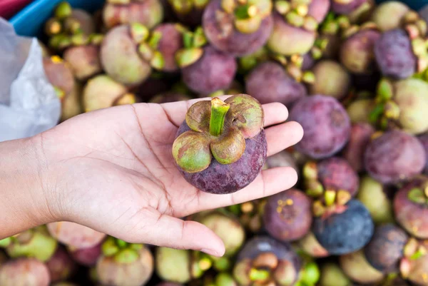 Mangosteen fruit on the hand in the market — Stock Photo, Image