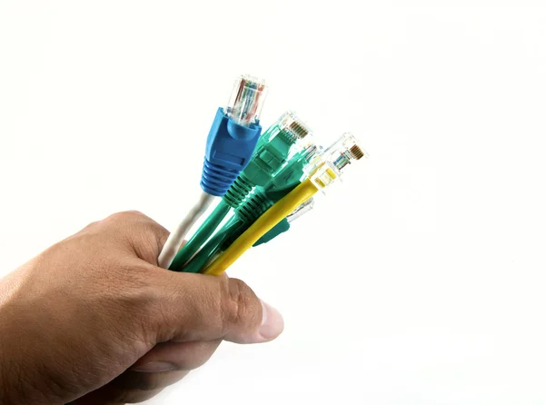 Hand holding LAN cords isolated on white background — Stock Photo, Image