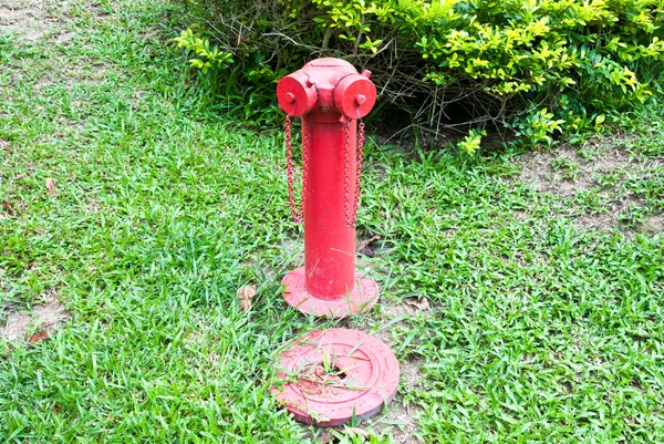 Закрыть красный пожарный гидрант в парке — стоковое фото