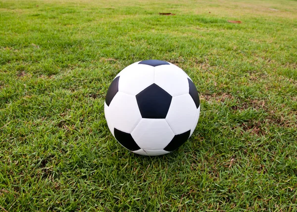 Soccer or football ball on green grass — Stock Photo, Image