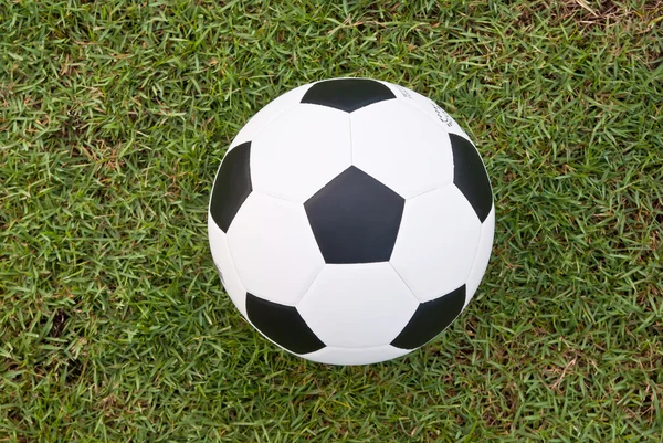 Yeşil çimenlerin üzerinde futbol ya da futbol topu — Stok fotoğraf
