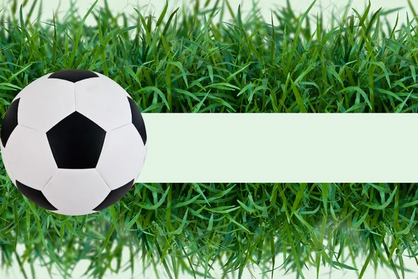 Yeşil çim kopya alanı ile futbol ya da futbol topu — Stok fotoğraf