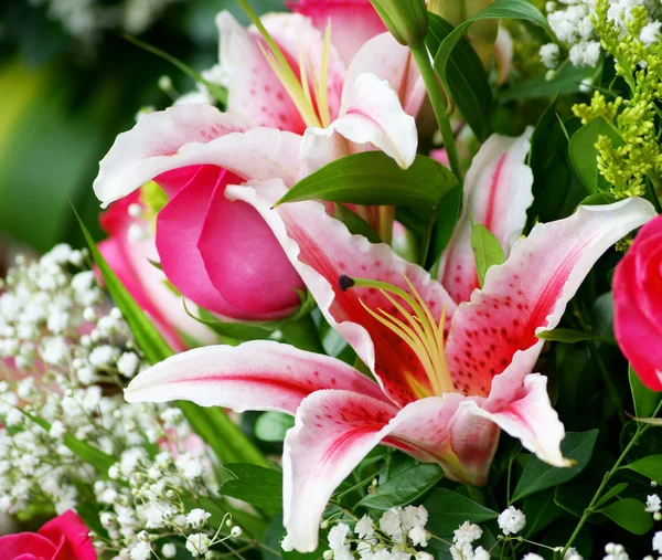 stock image Flowers in Ecuador market